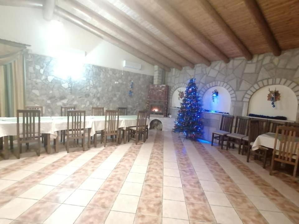 Pensiunea Lory Agarcia Exterior photo